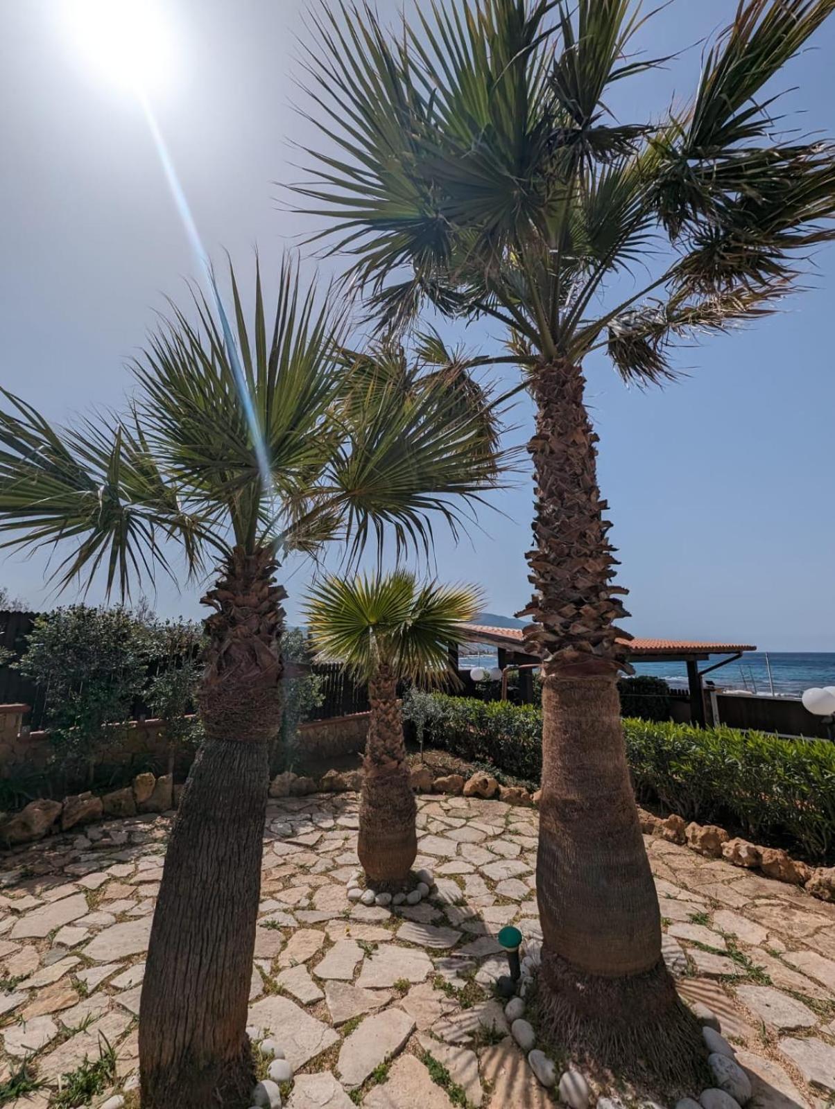 Villa Baia di Cornino Custonaci Esterno foto